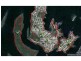 8 Sentosa Terrace, Macleay Island QLD 4184