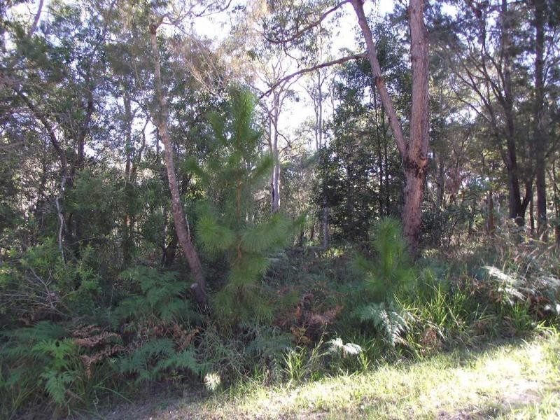 29 Alexander Street, Macleay Island QLD 4184