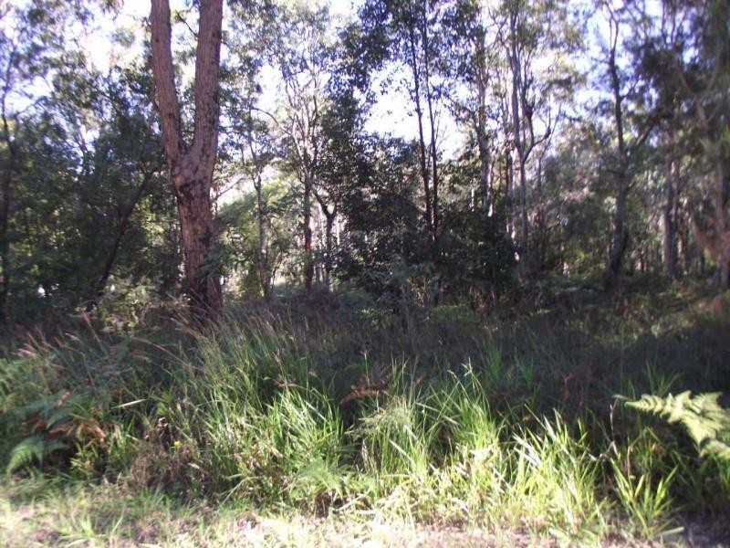 29 Alexander Street, Macleay Island QLD 4184