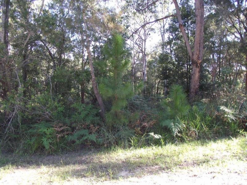 29 Alexander Street, Macleay Island QLD 4184