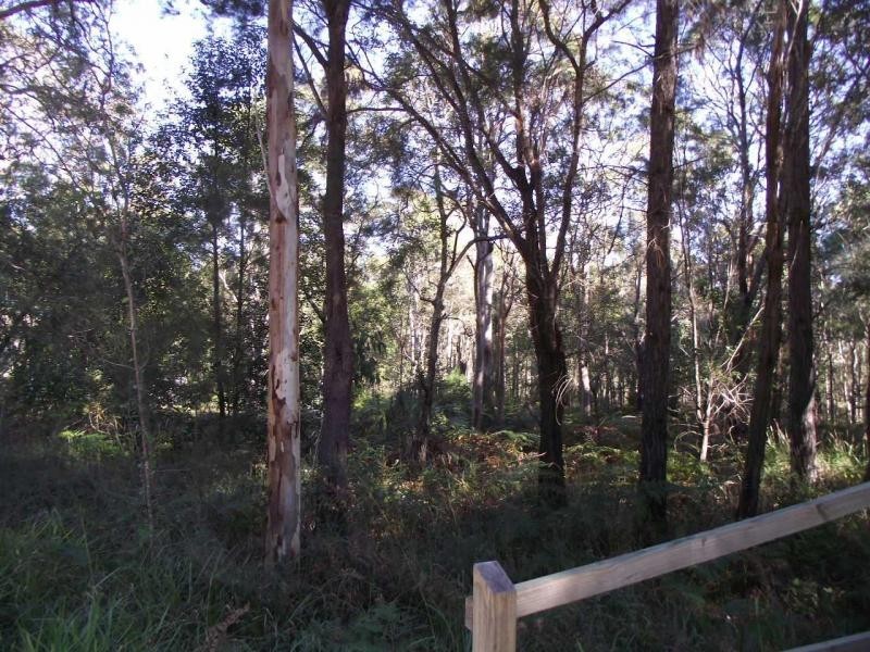 29 Alexander Street, Macleay Island QLD 4184