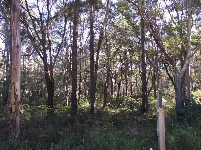 29 Alexander Street, Macleay Island QLD 4184