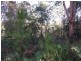 29 Alexander Street, Macleay Island QLD 4184