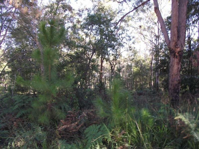 29 Alexander Street, Macleay Island QLD 4184
