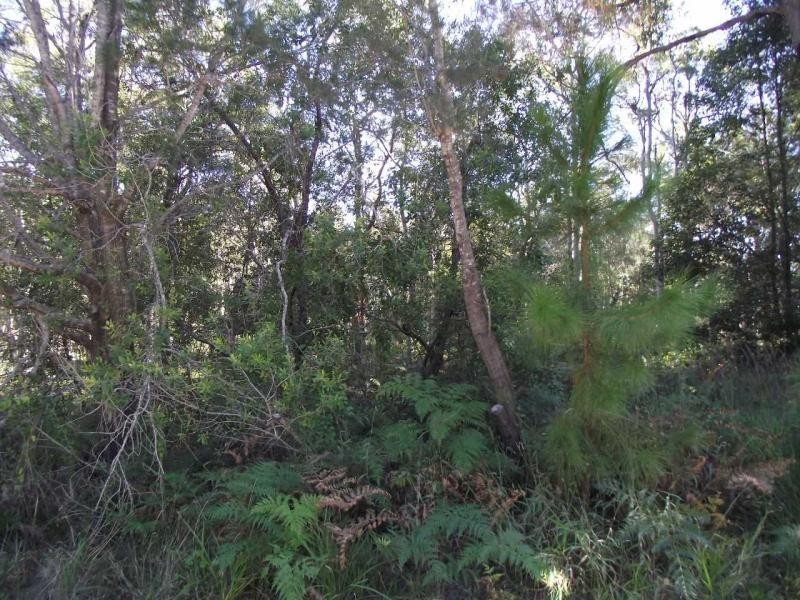 29 Alexander Street, Macleay Island QLD 4184