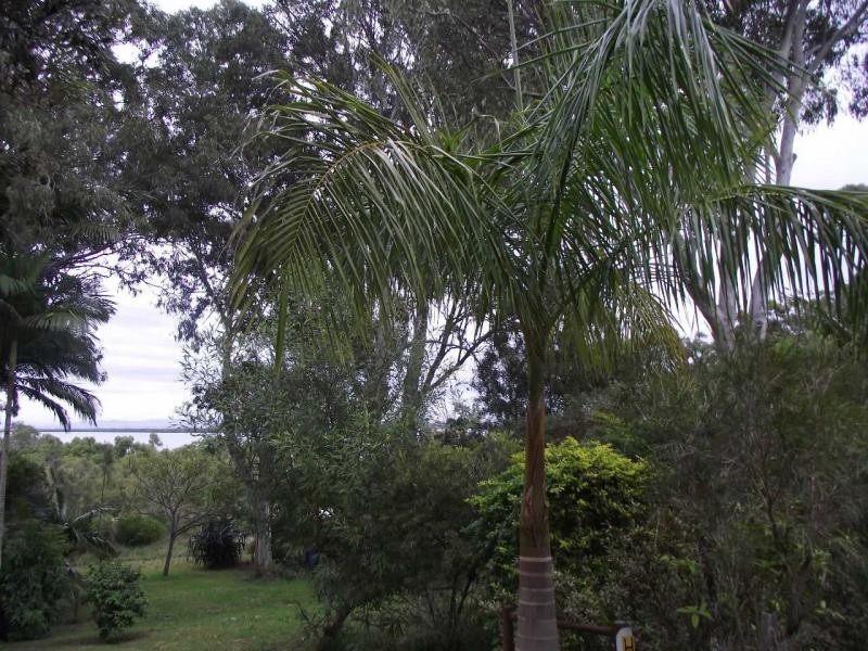 6 McBean Street, Karragarra Island QLD 4184