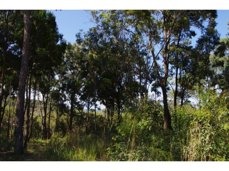 13 Beelong Street, Macleay Island QLD 4184