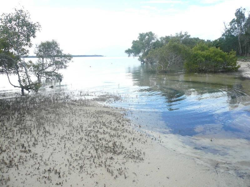 17 Attunga Street, Macleay Island QLD 4184