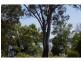 108 The Esplanade, Karragarra Island QLD 4184