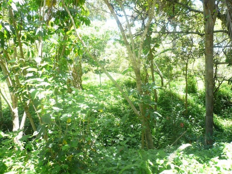 77 Eastbourne Terrace, Macleay Island QLD 4184