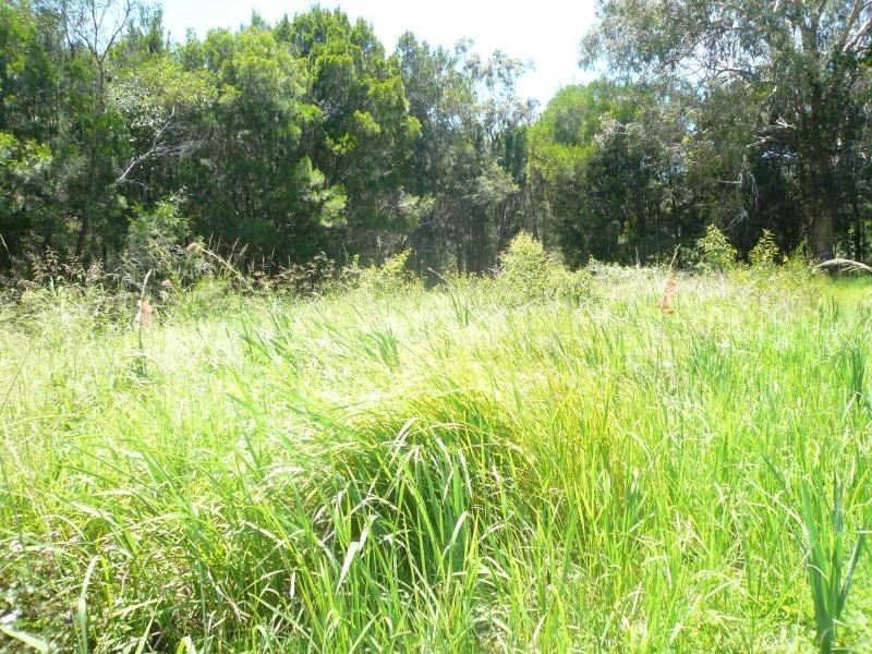 6 Heath Street, Macleay Island QLD 4184
