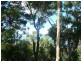 Macleay Island QLD 4184