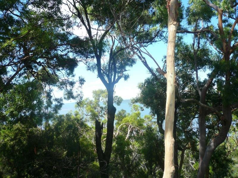 Macleay Island QLD 4184