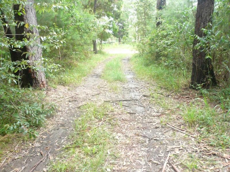 5 Walnut Court, Macleay Island QLD 4184