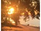 47 Treasure Island Avenue, Karragarra Island QLD 4184