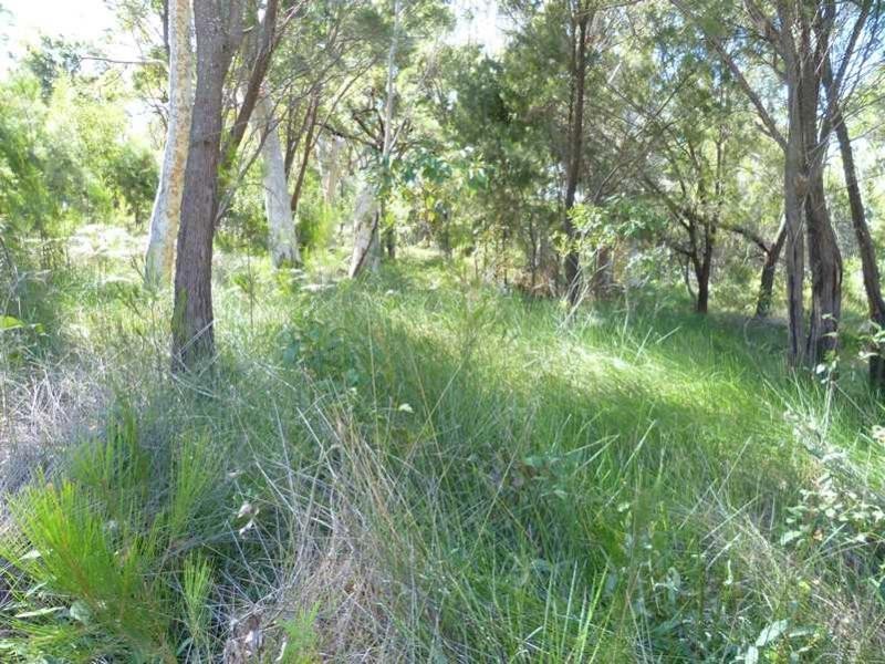 19 Wirralee Street, Macleay Island QLD 4184