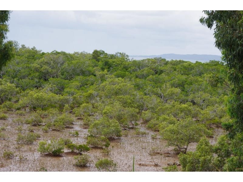 1 Causeway Drive, Macleay Island QLD 4184