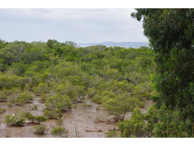 1 Causeway Drive, Macleay Island QLD 4184