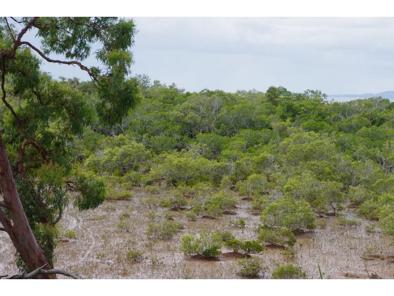1 Causeway Drive, Macleay Island QLD 4184