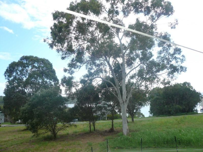 12 Ketch Street, Russell Island QLD 4184
