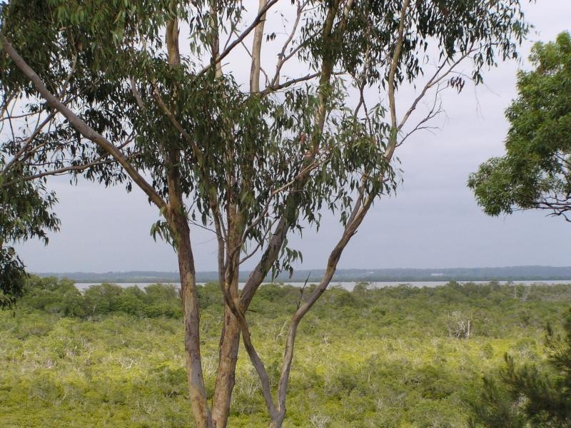 54 Treasure Island Avenue, Karragarra Island QLD 4184