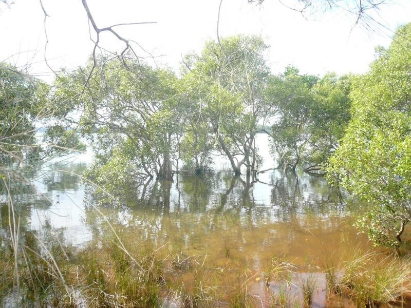 38 Nunkeri Drive, Macleay Island QLD 4184