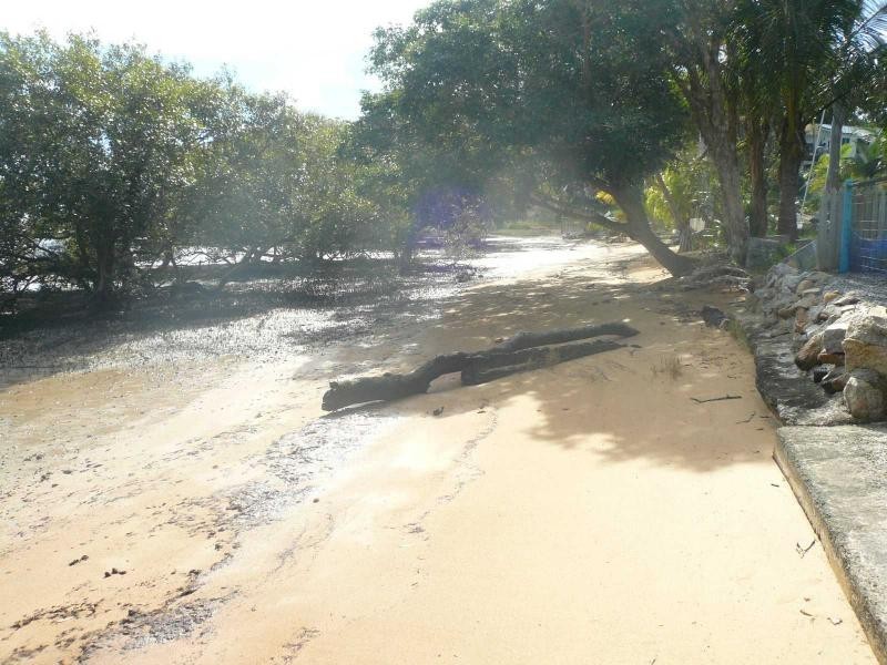 19 Coondooroopa Drive, Macleay Island QLD 4184