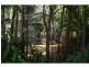 16 Mango Crescent, Macleay Island QLD 4184