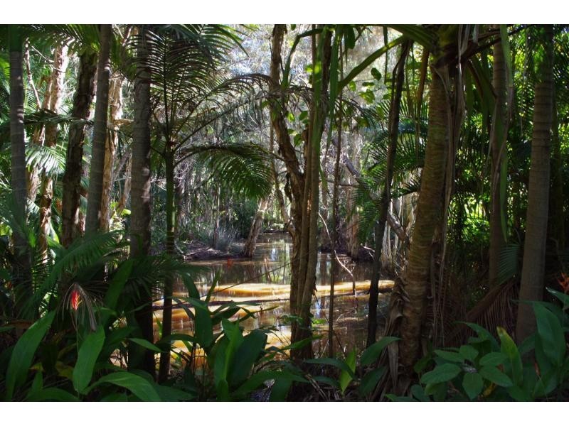 16 Mango Crescent, Macleay Island QLD 4184