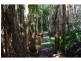 16 Mango Crescent, Macleay Island QLD 4184