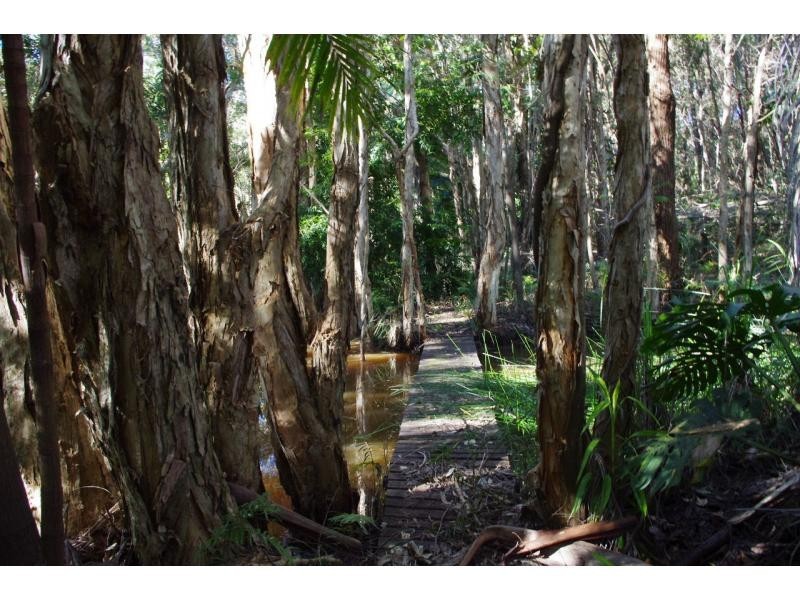 16 Mango Crescent, Macleay Island QLD 4184