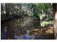 16 Mango Crescent, Macleay Island QLD 4184
