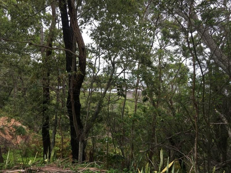 99 Perulpa Drive, Lamb Island QLD 4184