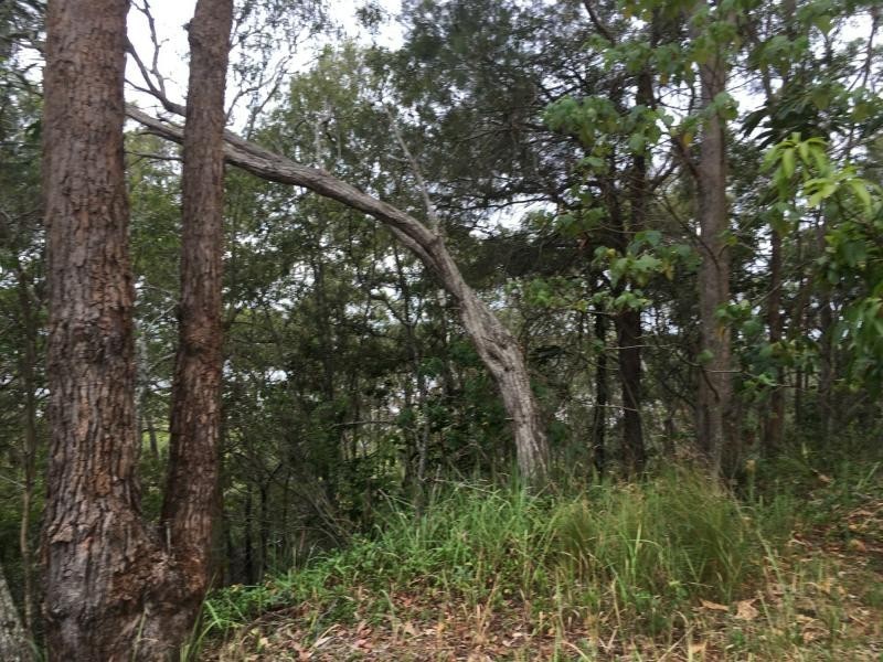 99 Perulpa Drive, Lamb Island QLD 4184