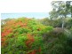 10 Koonwarra Parade, Macleay Island QLD 4184