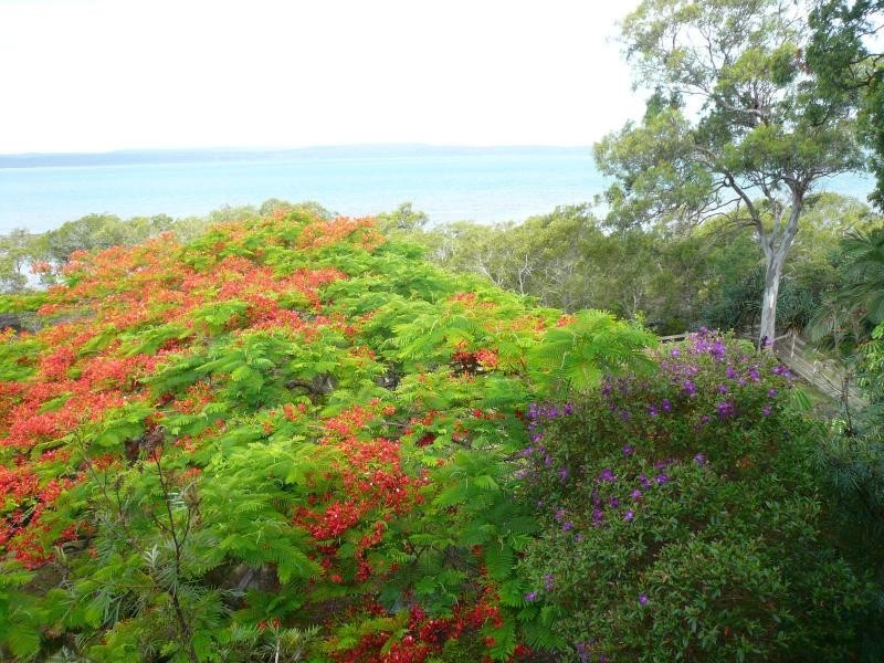 10 Koonwarra Parade, Macleay Island QLD 4184