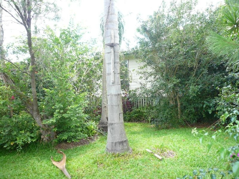 42 Lonicera Street, Macleay Island QLD 4184