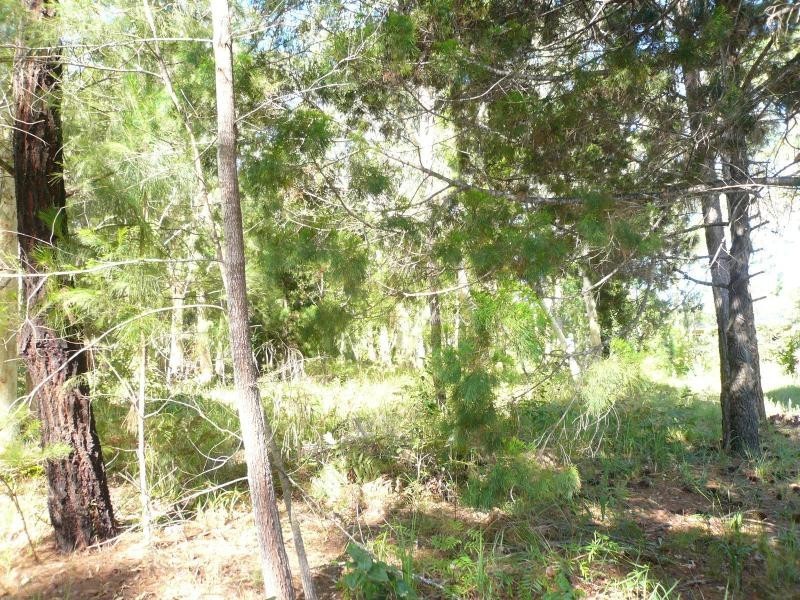 16 Heron Street, Macleay Island QLD 4184