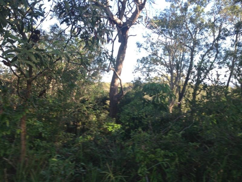 138 Treasure Island Avenue, Karragarra Island QLD 4184