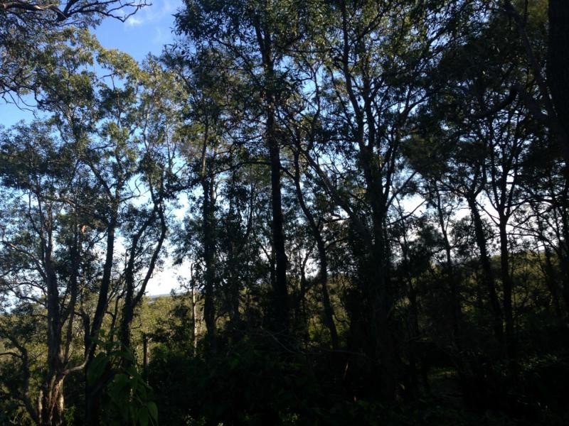 138 Treasure Island Avenue, Karragarra Island QLD 4184