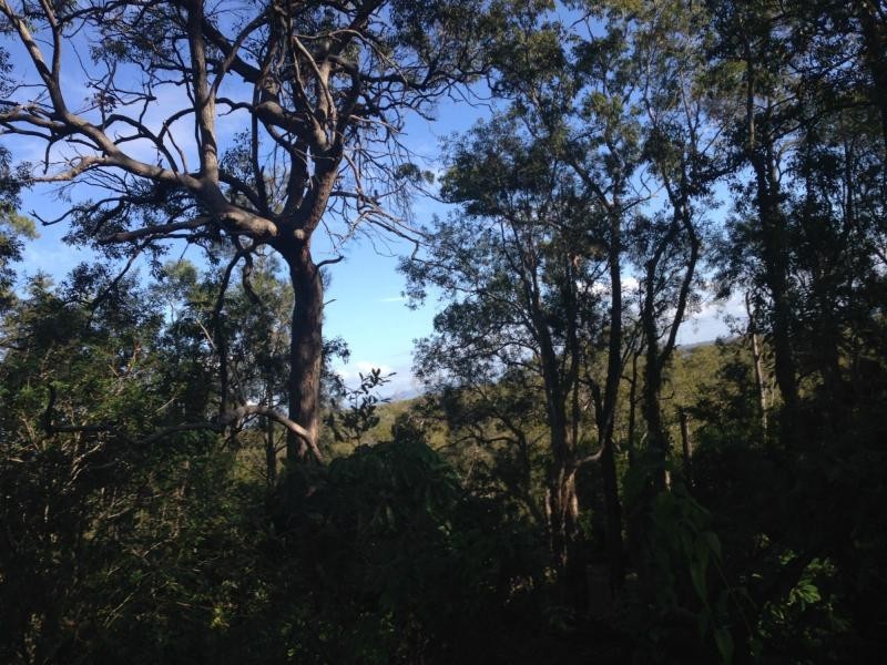 138 Treasure Island Avenue, Karragarra Island QLD 4184