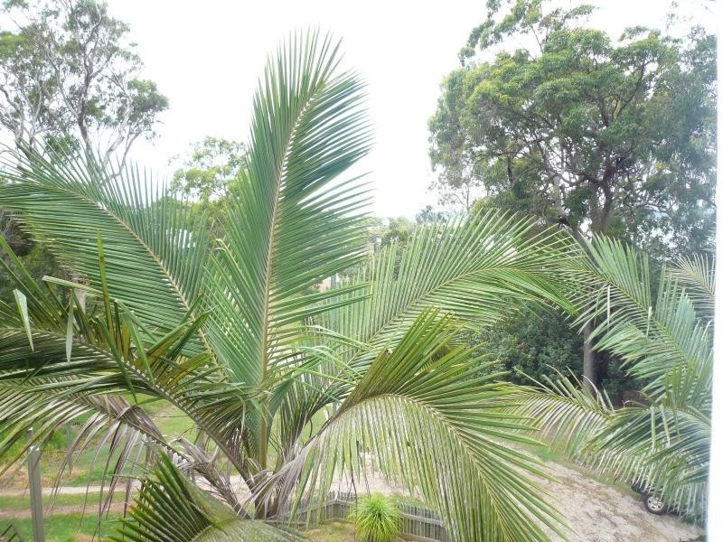 17 Golden Sands Boulevard, Macleay Island QLD 4184