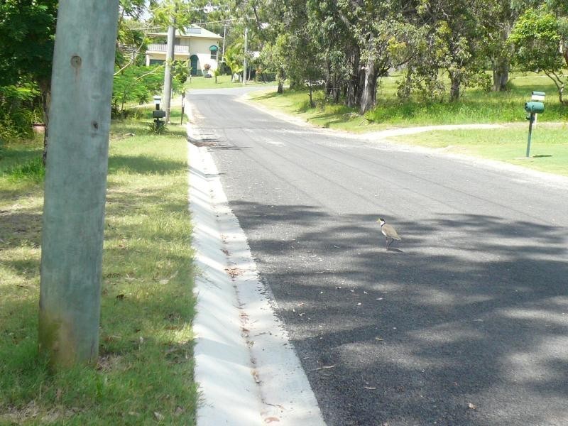 14 Alkira Street, Macleay Island QLD 4184