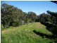 31 Pier Haven, Lamb Island QLD 4184