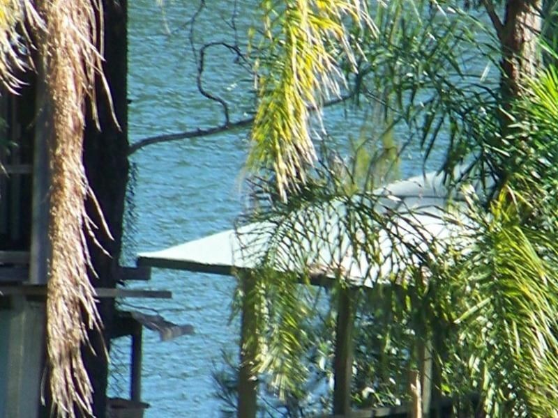 31 Pier Haven, Lamb Island QLD 4184