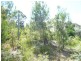 20 Hastings Terrace, Macleay Island QLD 4184