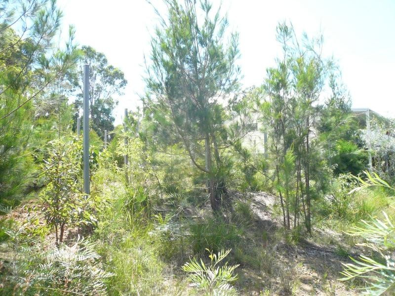 20 Hastings Terrace, Macleay Island QLD 4184