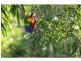 34 Marine. Street, Macleay Island QLD 4184