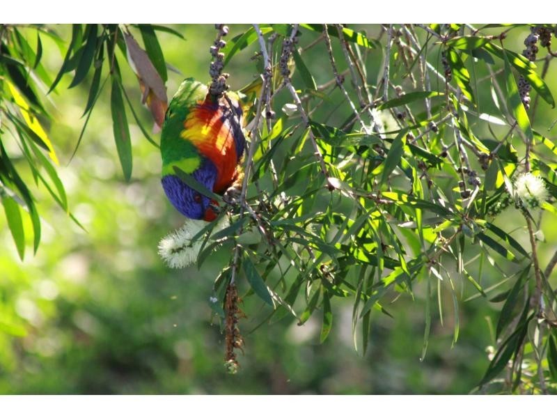34 Marine. Street, Macleay Island QLD 4184