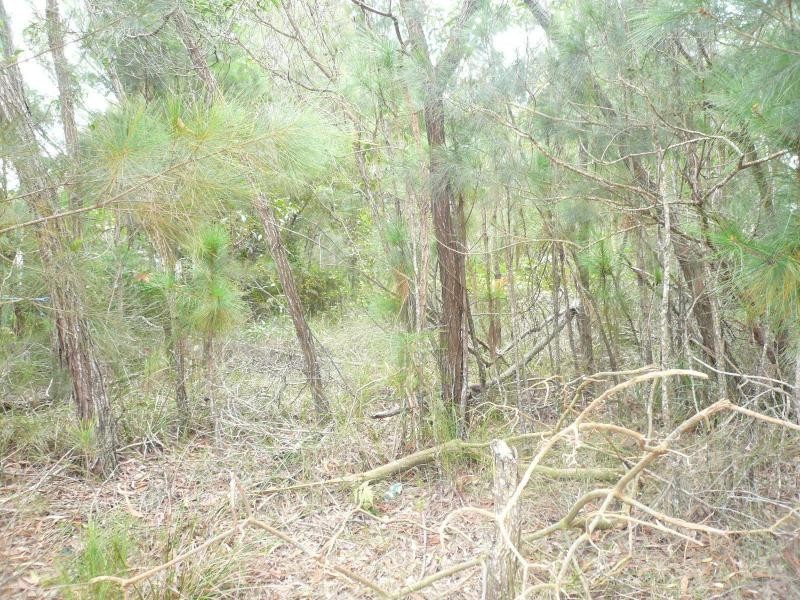 7 Belar Street, Lamb Island QLD 4184